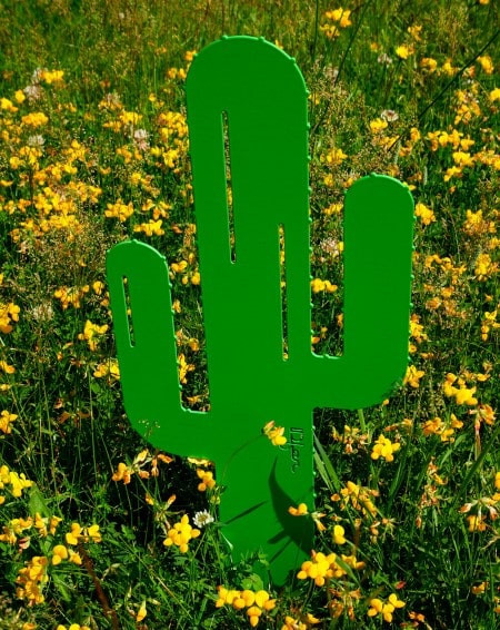 Décoration cactus : le cactus pique notre intérêt ! - Elle Décoration