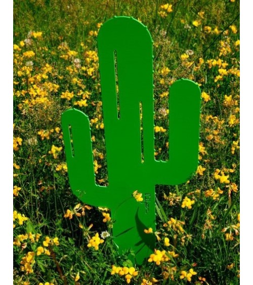 Cactus Mr Pique - IDfer