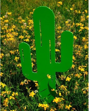 Cactus Mr Pique - IDfer