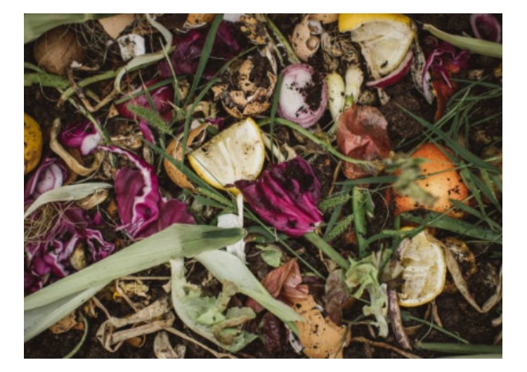 Comment activer mon compost naturellement ?